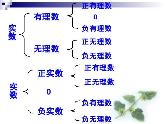 初一下册数学课件《6.3实数》ppt（数学）第8页