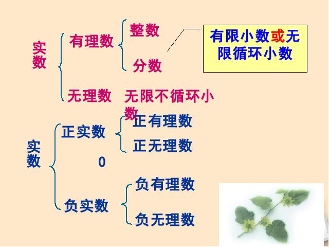 初一下册数学数学《6.3实数》第8页