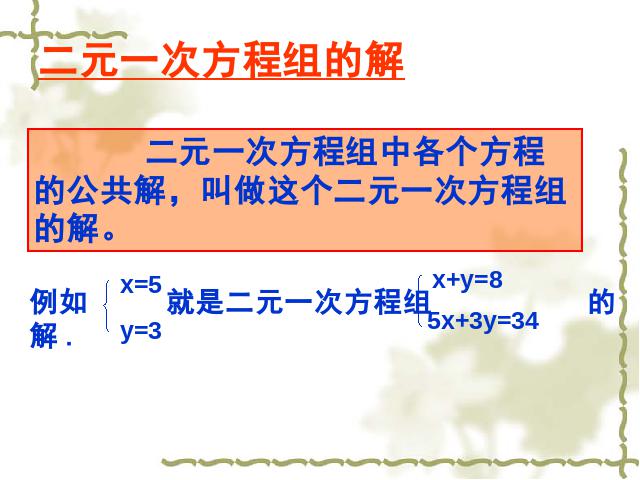 初一下册数学数学《二元一次方程组复习课复习题8》第8页