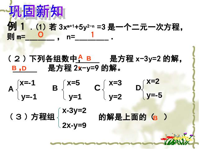 初一下册数学数学《二元一次方程组复习课复习题8》第9页