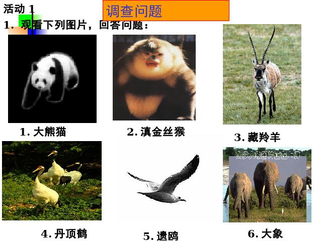 初一下册数学初一数学ppt《10.1统计调查》课件第8页