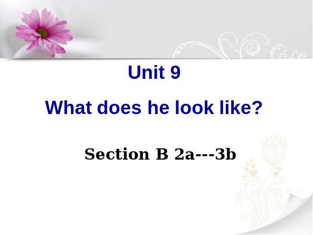 初一下册英语ppt《unit9 What does he look like》课件第1页