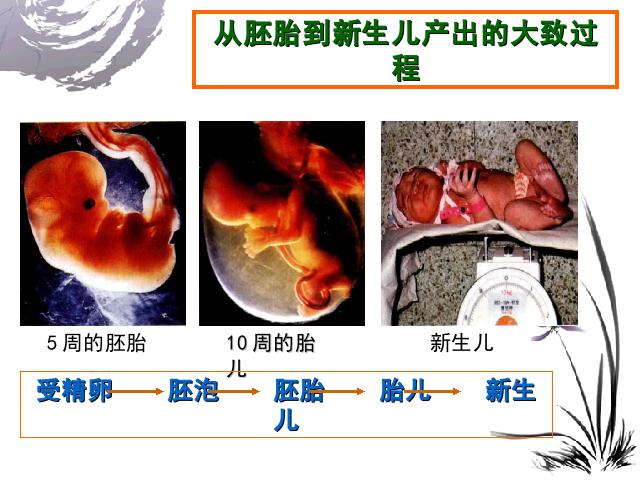 初一下册生物《人的由来:人的生殖》生物第8页