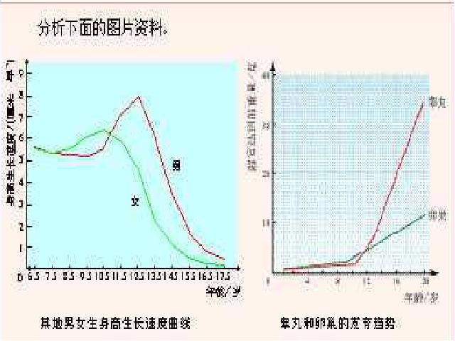 初一下册生物4.1.3《青春期》第3页