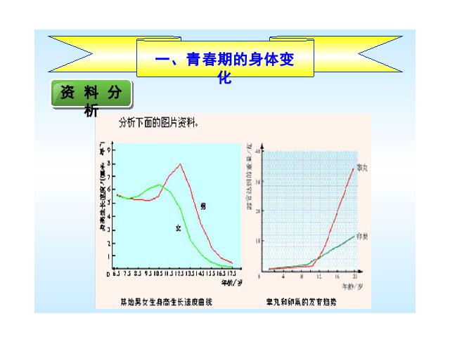 初一下册生物《4.1.3:青春期》生物第6页