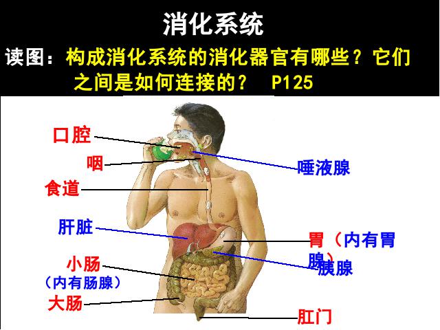 初一下册生物生物《4.2.2消化和吸收》下载第5页