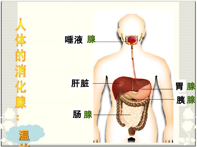 初一下册生物生物《4.2.2消化和吸收》第10页