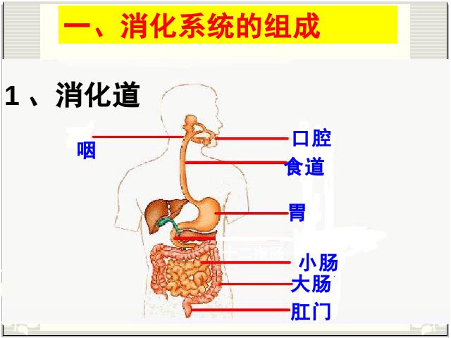 初一下册生物生物《4.2.2消化和吸收》第5页