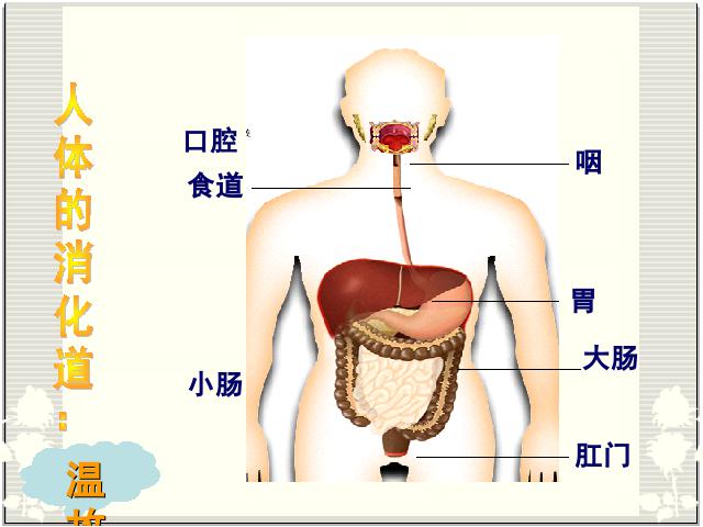 初一下册生物生物《4.2.2消化和吸收》第9页