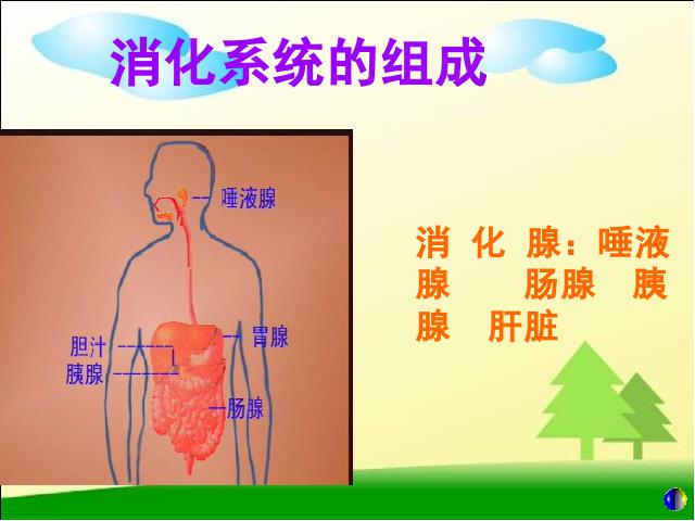 初一下册生物生物《4.2.2消化和吸收》（）第5页