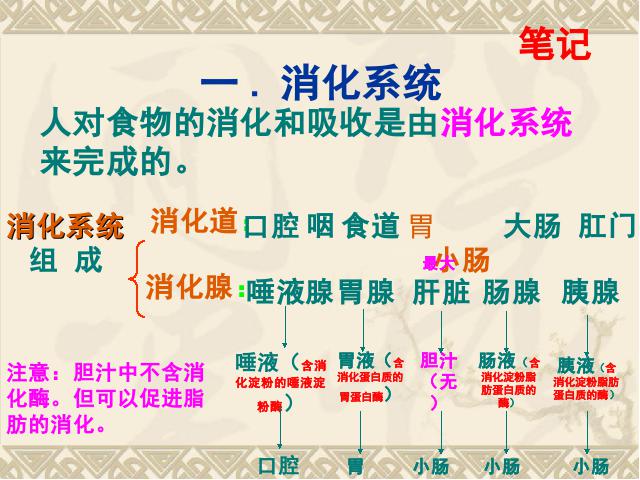 初一下册生物《4.2.2消化和吸收》生物第8页