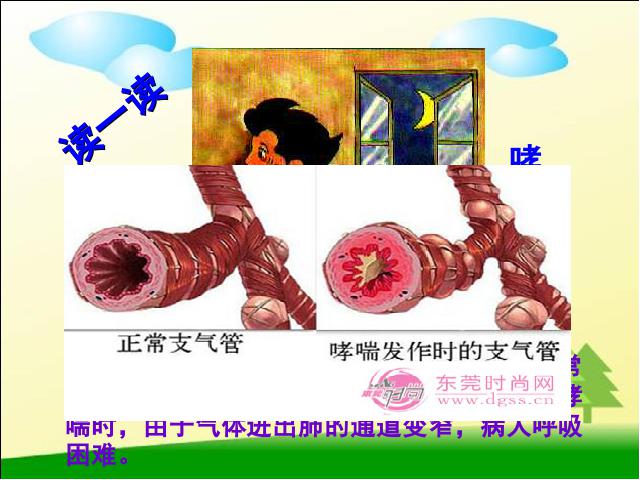 初一下册生物初中生物《4.3.1呼吸道对空气的处理》ppt课件下载第10页