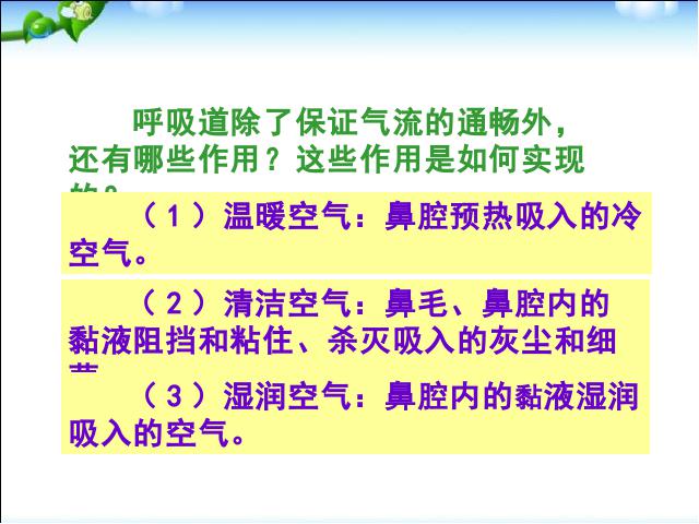 初一下册生物《4.3.1呼吸道对空气的处理》（生物）第10页