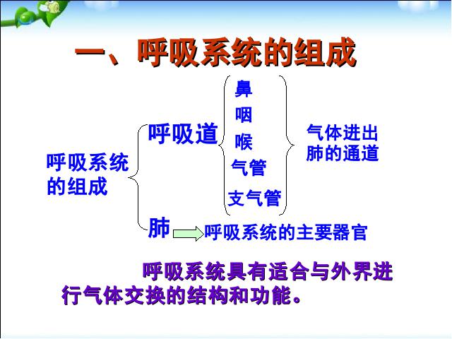 初一下册生物《4.3.1呼吸道对空气的处理》（生物）第6页