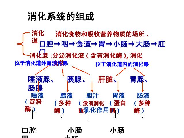 初一下册生物《4.3.1呼吸道对空气的处理》生物第1页