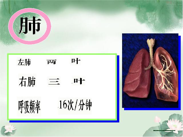 初一下册生物生物《4.3.2发生在肺内的气体交换》课件PPT下载第3页