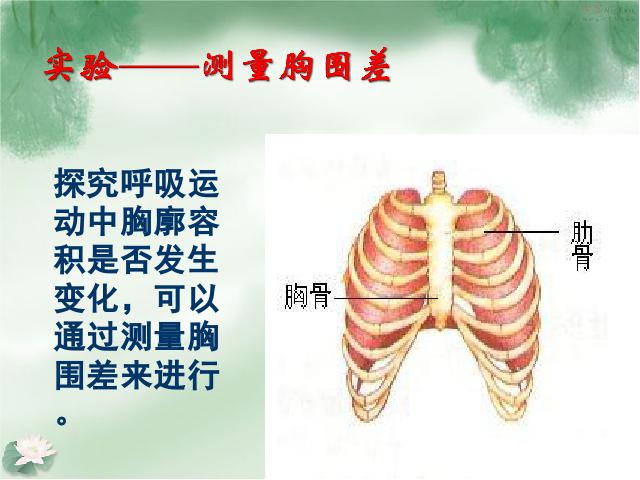 初一下册生物生物《4.3.2发生在肺内的气体交换》课件PPT下载第5页