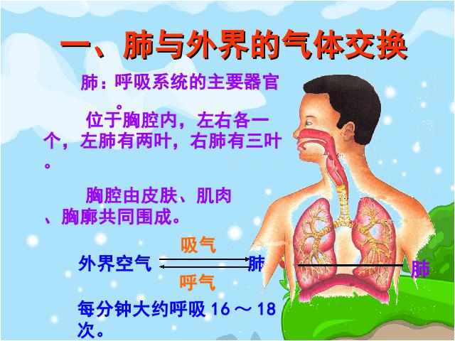 初一下册生物《4.3.2发生在肺内的气体交换》(生物)第8页