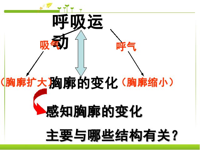 初一下册生物《4.3.2发生在肺内的气体交换》生物第3页