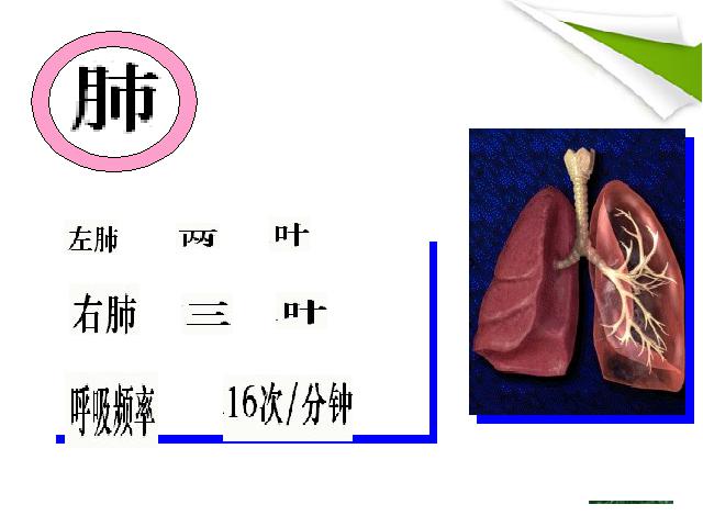 初一下册生物生物《4.3.2发生在肺内的气体交换》（）第3页