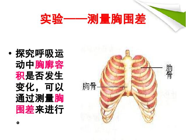 初一下册生物生物《4.3.2发生在肺内的气体交换》（）第5页