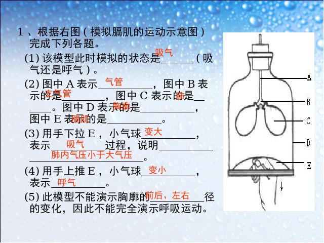 初一下册生物初中生物ppt《4.3.2发生在肺内的气体交换》课件第9页