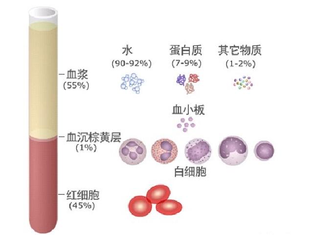 初一下册生物生物《4.4.1流动的组织-血液》下载第5页