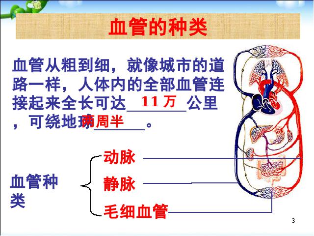 初一下册生物《4.4.2血流的管道-血管》生物第3页