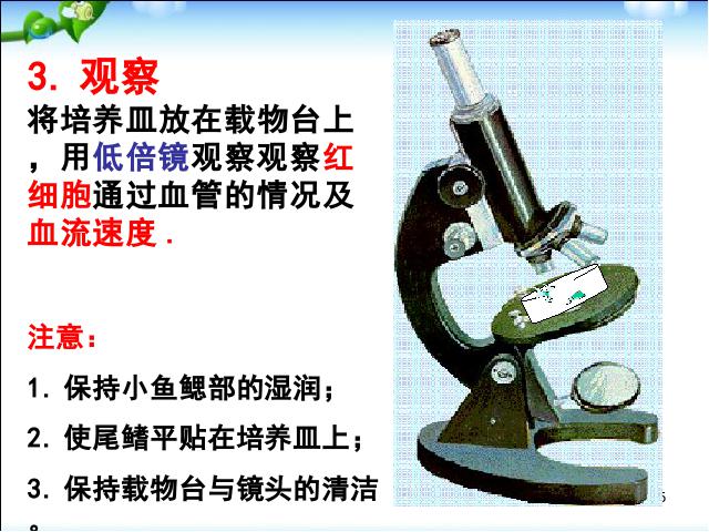 初一下册生物《4.4.2血流的管道-血管》生物第5页