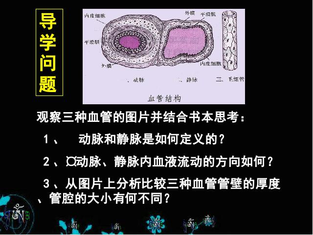 初一下册生物生物《4.4.2血流的管道-血管》（）第2页