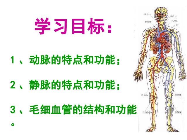 初一下册生物生物《4.4.2血流的管道-血管》下载第2页