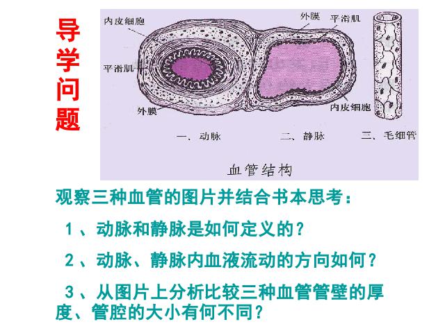 初一下册生物生物《4.4.2血流的管道-血管》下载第3页