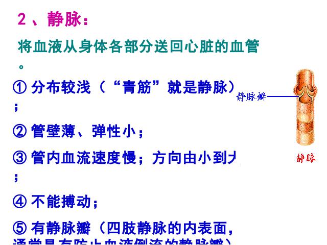 初一下册生物生物《4.4.2血流的管道-血管》下载第7页