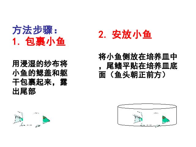 初一下册生物《4.4.2血流的管道-血管》第5页