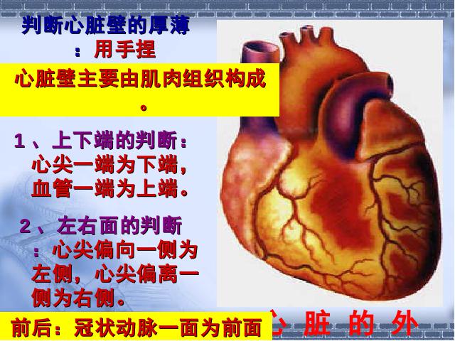 初一下册生物《4.4.3输送血液的泵-心脏》生物第10页