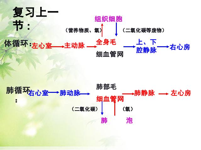 初一下册生物《4.4.4输血与血型》(生物)第1页