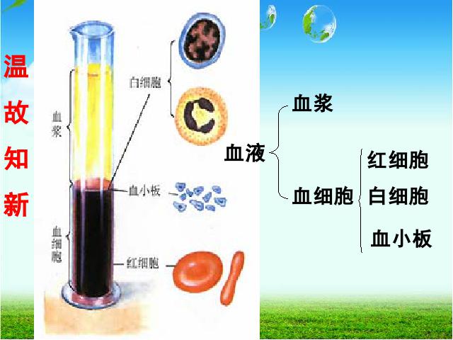 初一下册生物生物《4.4.4输血与血型》（）第2页