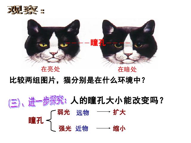 初一下册生物生物《4.6.1人体对外界环境的感知》第10页