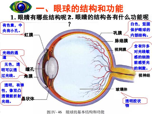 初一下册生物生物《4.6.1人体对外界环境的感知》第5页