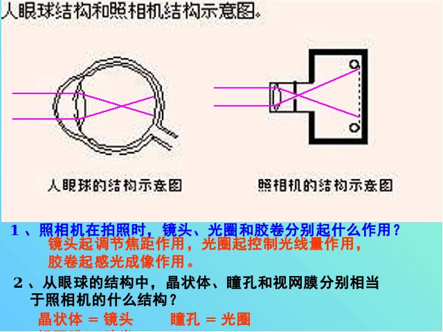 初一下册生物《4.6.1人体对外界环境的感知》(生物)第6页