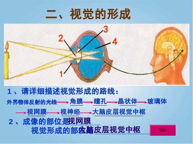 初一下册生物《4.6.1人体对外界环境的感知》生物第9页