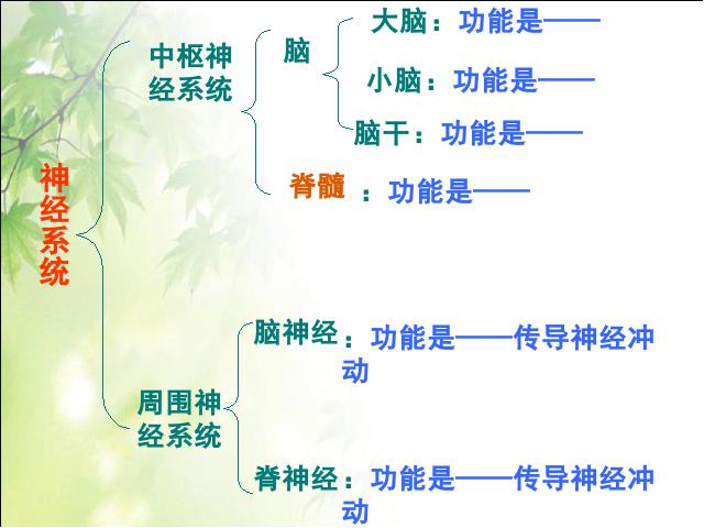 初一下册生物初中生物ppt《4.6.2神经系统的组成》课件第2页