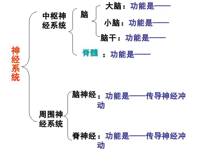 初一下册生物《4.6.2神经系统的组成》生物第5页