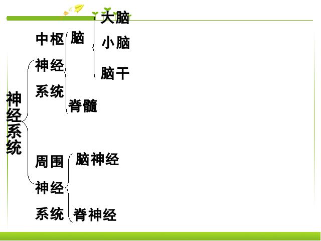 初一下册生物生物《4.6.2神经系统的组成》第10页