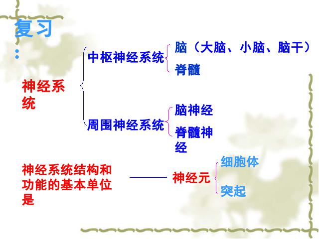 初一下册生物生物《4.6.3神经调节的基本方式》（）第1页