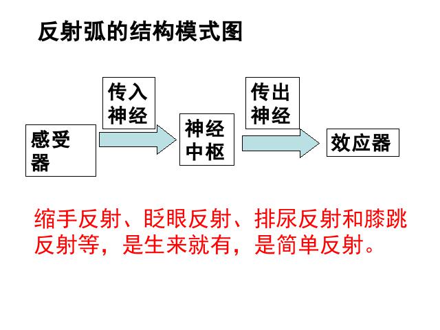 初一下册生物《4.6.3神经调节的基本方式》(生物)第8页