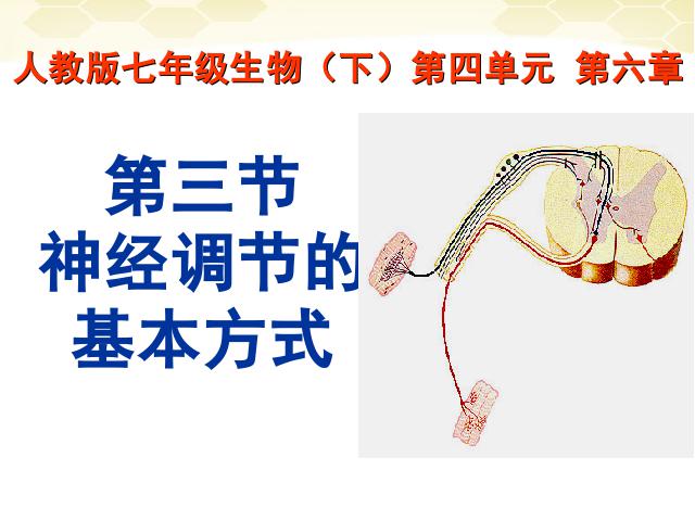 初一下册生物生物《4.6.3神经调节的基本方式》第1页