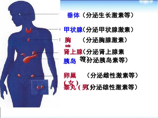 初一下册生物生物《4.6.4激素调节》（）第6页