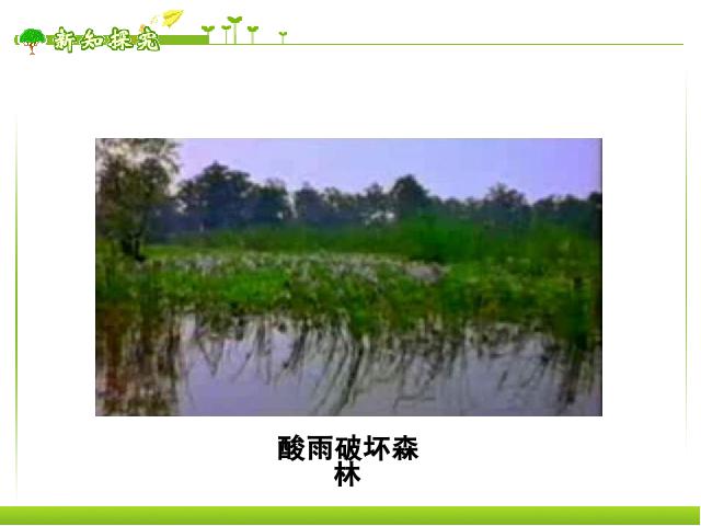 初一下册生物《探究环境污染对生物的影响》生物第7页