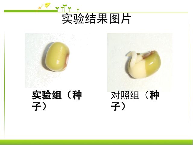 初一下册生物生物《探究环境污染对生物的影响》（）第8页